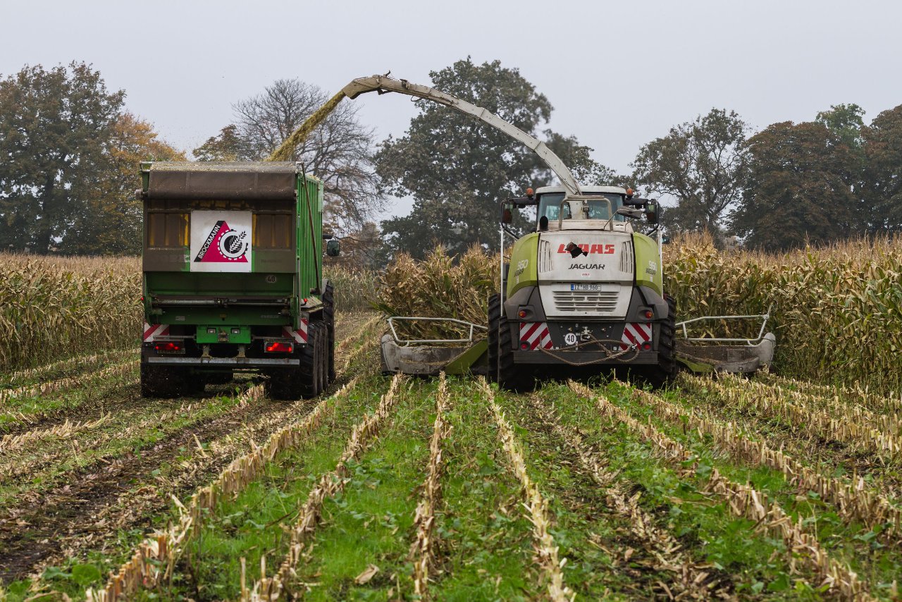 Bild 127 - Biogas am 21.10.12